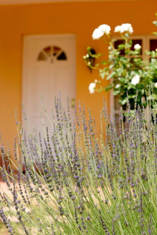 Little Tuscany Boutique Hotel Johannesburg Exterior foto